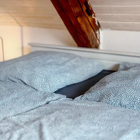 Faller-ferien דירה גנגנבאך